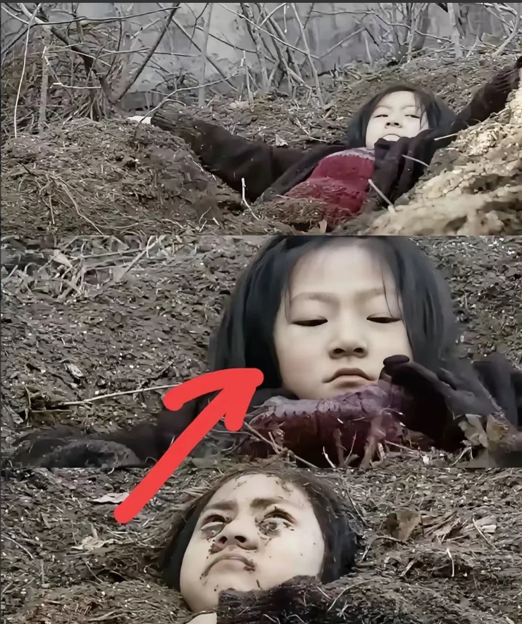 od体育下载-谋杀案情逐渐浮出水面，案情曲折